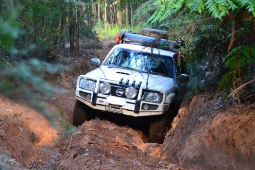 10 Beginner 4WD Tracks In Victoria That Are Worth A Trip